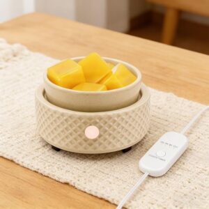 Wax Melt Warmer (and Four Mainstays Wax Melts)